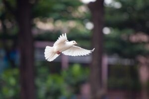 保育士がパートから正社員になるためのステップは？